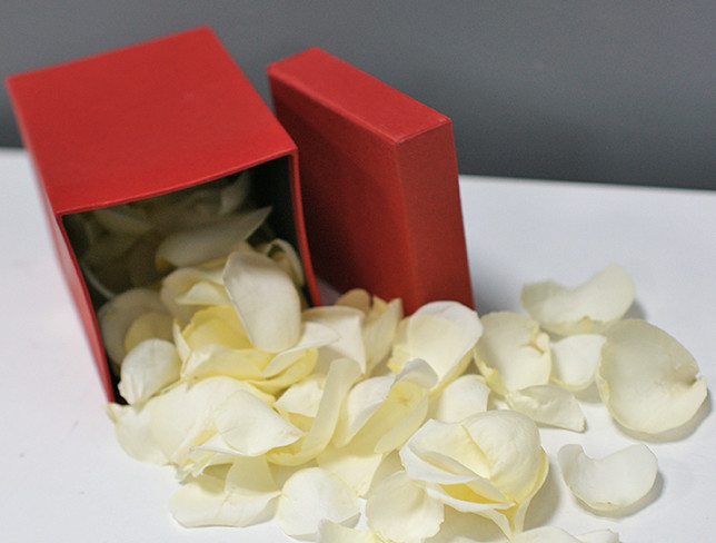 Box with White Rose Petals photo